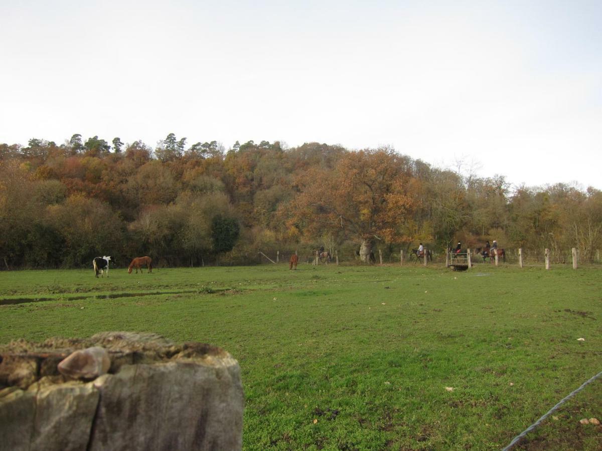 Le Murmure De La Falaise Bed and Breakfast Beaumont-le-Roger Esterno foto